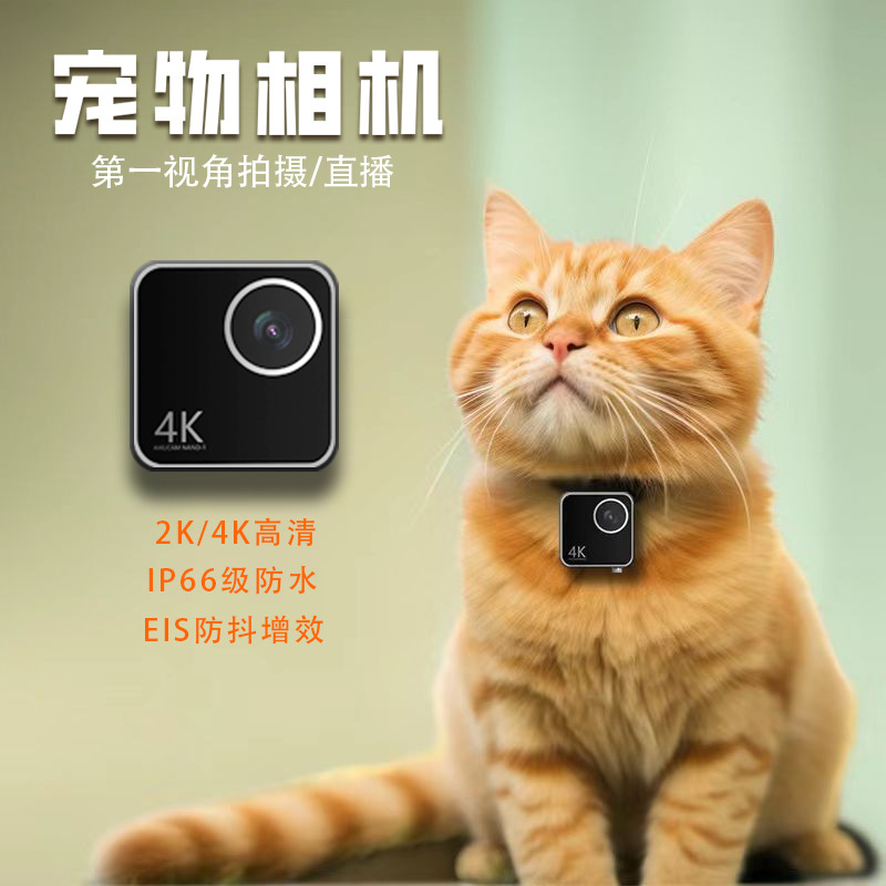 กล้องติดปลอกคอสัตว์เลี้ยง กล้อ - Cameras บทวิจารณ์และราคา