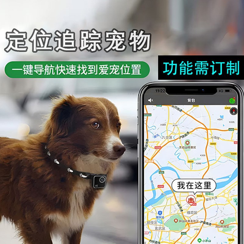 กล้องติดปลอกคอสัตว์เลี้ยง กล้อ - Cameras บทวิจารณ์และราคา