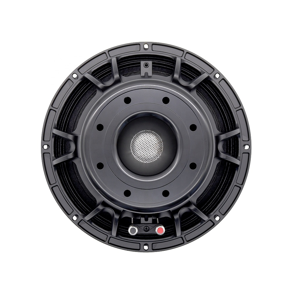 อุปกรณ์เสียงระดับมืออาชีพ 12DS - Speakers บทวิจารณ์และราคา